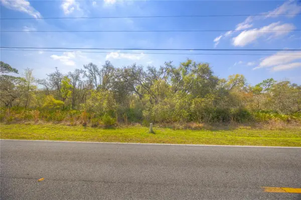 35166 Cornerstone Drive, WEBSTER, FL 33597