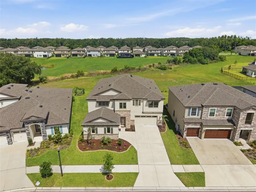 12962 Steed Trace Loop, Lithia, FL 33547 - #3