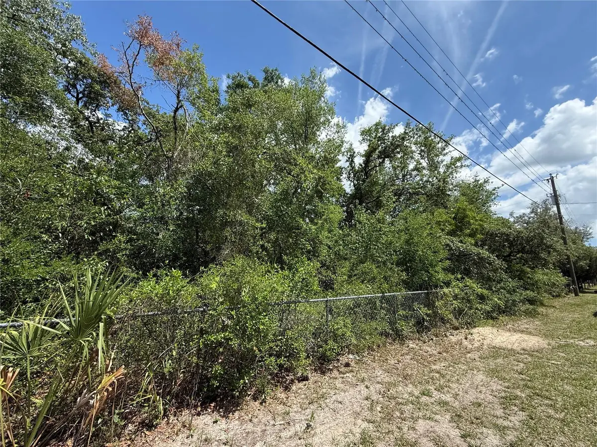 11748 Turkey Lane, New Port Richey, FL 34654 - #1