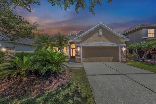 11243 Blacksmith Drive, TAMPA, FL 33626