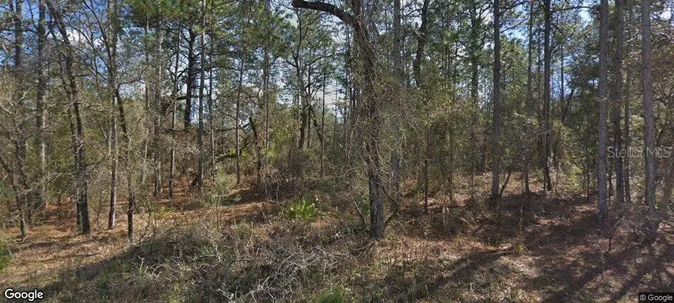 14390 English Sparrow Road, Weeki Wachee, FL 34614 - #1