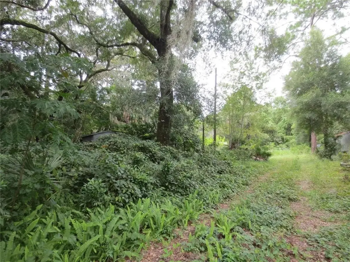 16865 SE 3rd Place, Silver Springs, FL 34488 - #1