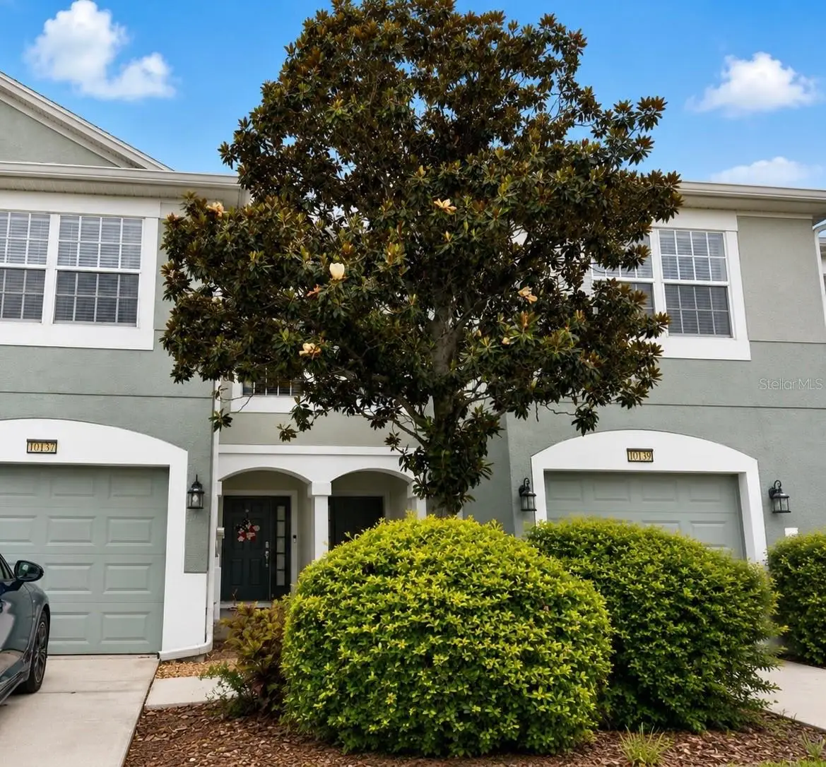 10137 Pink Palmata Court, Riverview, FL 33578 - #1
