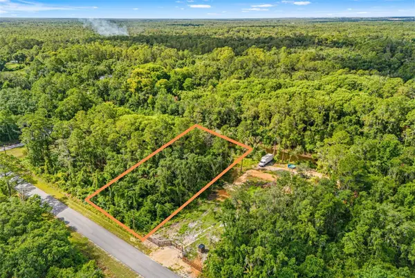 N Canal Street, WEBSTER, FL 33597