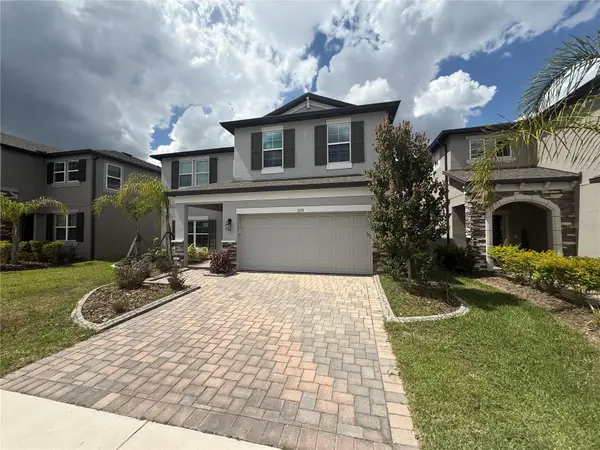 3135 Marine Grass Drive, WIMAUMA, FL 33598
