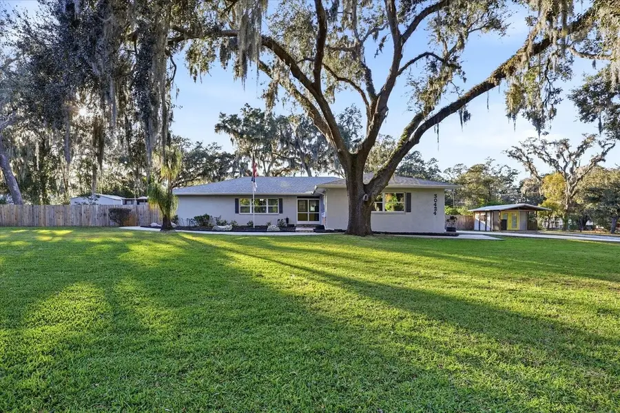 30424 Hillside Lane, Wesley Chapel, FL 33545 - #2