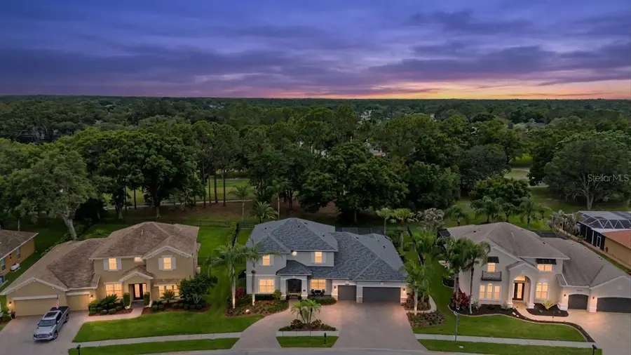 12422 Eagles Entry Drive, Odessa, FL 33556 - #2