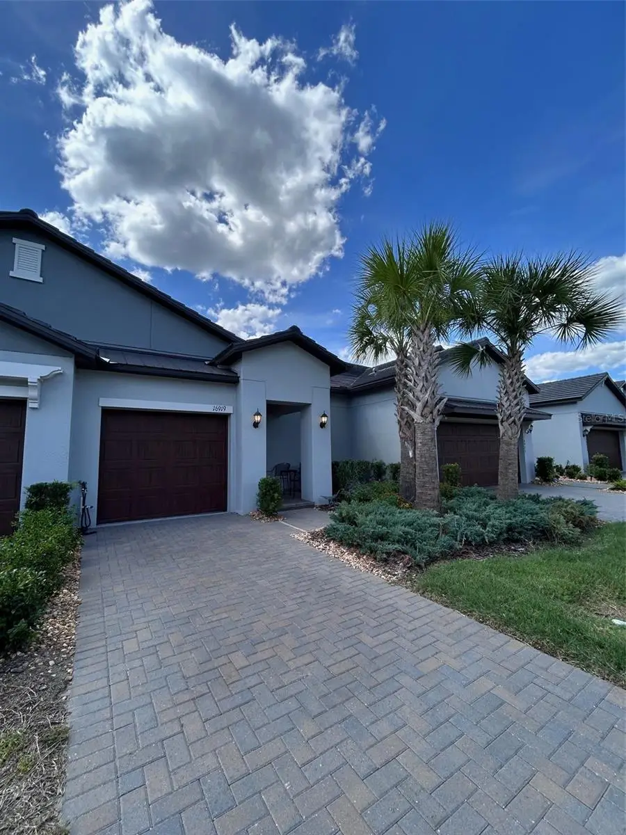 16919 Forge Surf Street, Land O Lakes, FL 34638 - #2