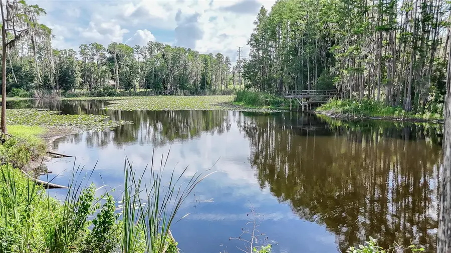 2610 Cabot Road, Land O Lakes, FL 34639 - #2