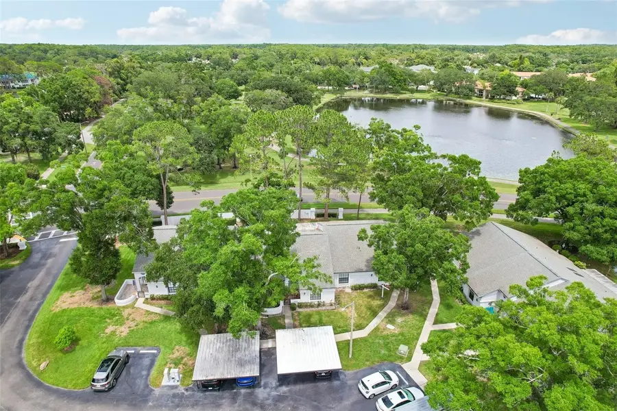 3878 Tanager Place, Palm Harbor, FL 34685 - #2