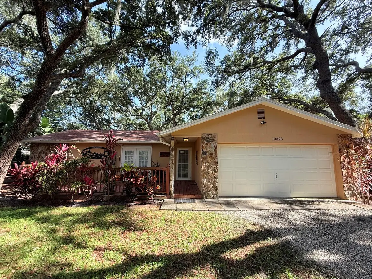 13828 Friendship Lane, Odessa, FL 33556 - #1