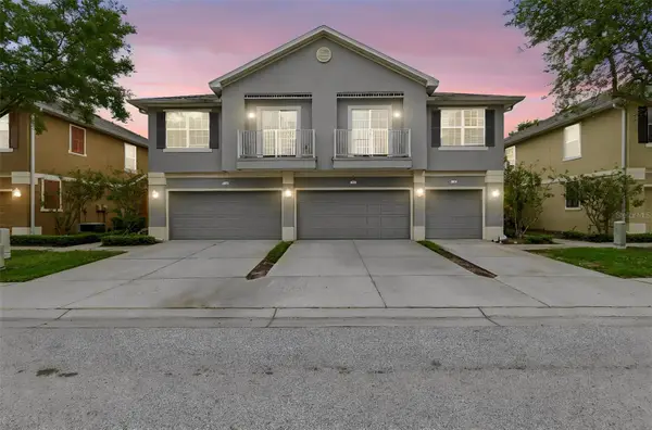 6734 Breezy Palm Drive, RIVERVIEW, FL 33578