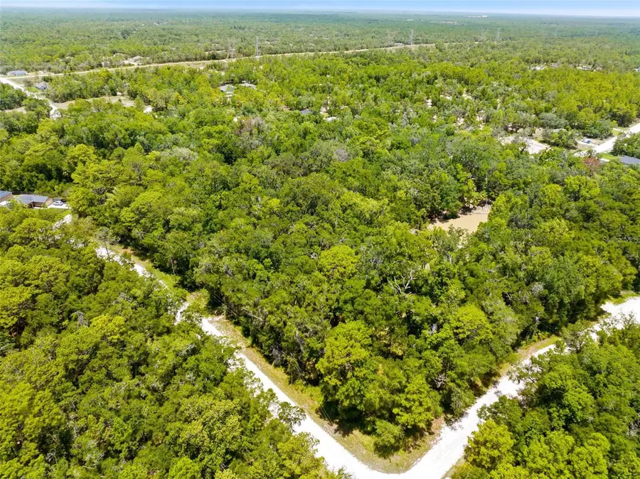 0 Ricebird Avenue #LOT 10-11, Weeki Wachee, FL 34614 - #3