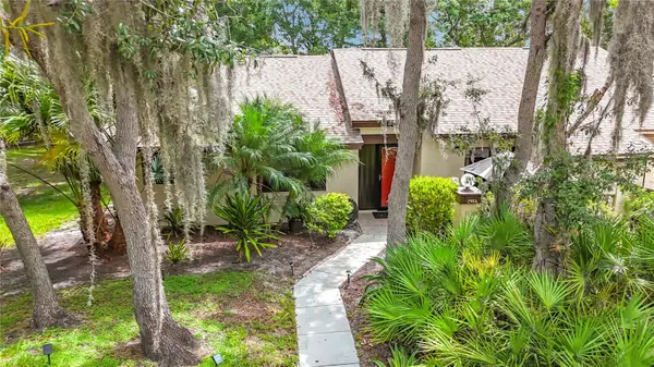 2983 Elder Court, PALM HARBOR, FL 34684