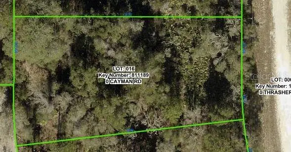 Cayman Road, Weeki Wachee, FL 34614 - #2