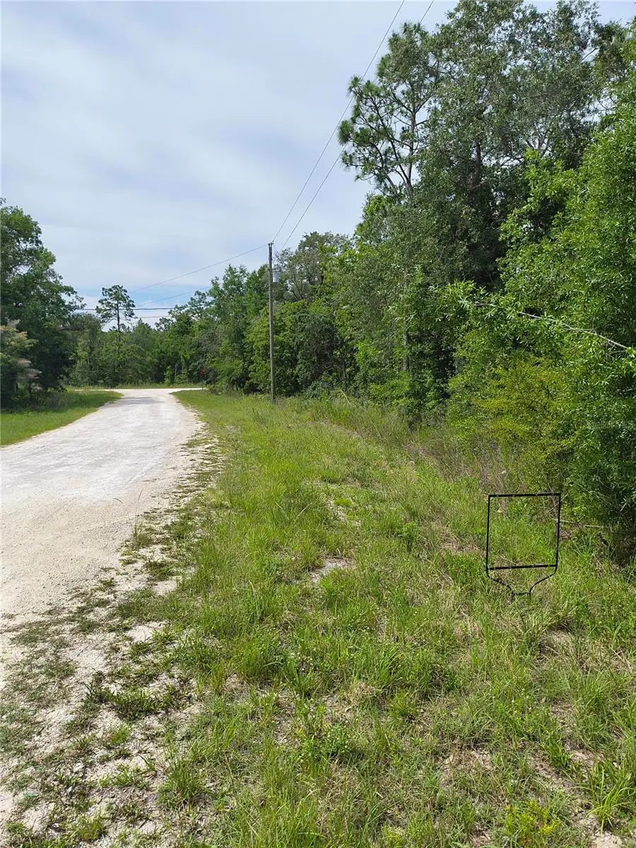 Cayman Road, Weeki Wachee, FL 34614 - #3