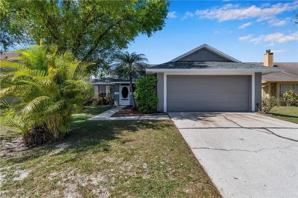 7110 Hollowell Drive, TAMPA, FL 33634
