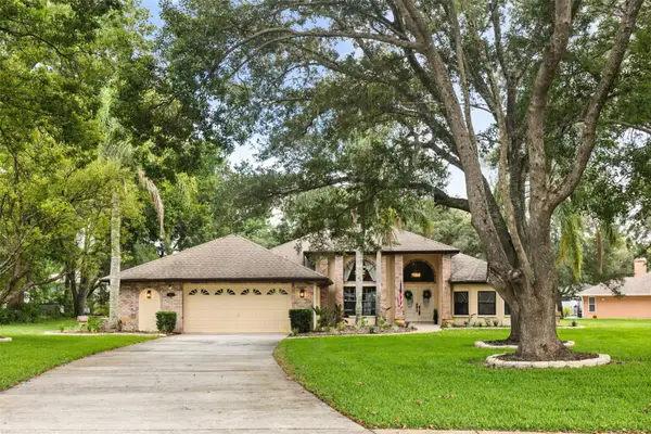 312 Hollow Oak Court, SPRING HILL, FL 34609