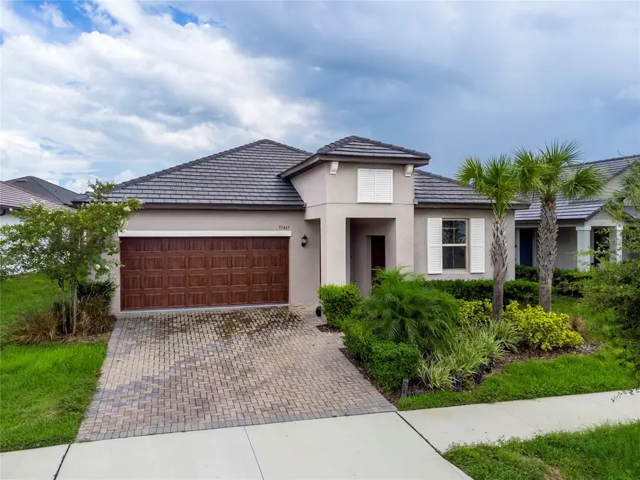 31467 Cannon Rush Drive, San Antonio, FL 33576 - #3