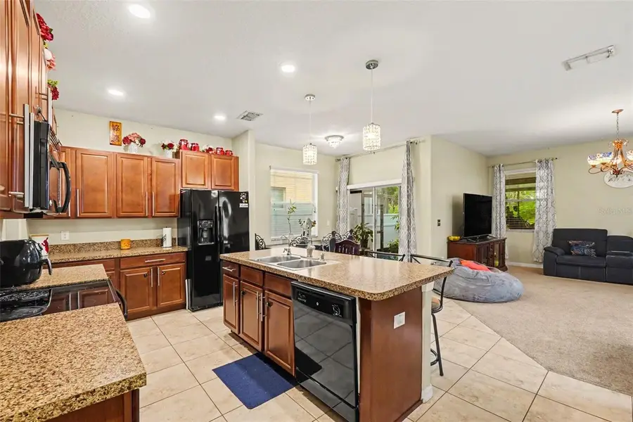 11334 Villas On The Green Dr, Riverview, FL 33579 - #3