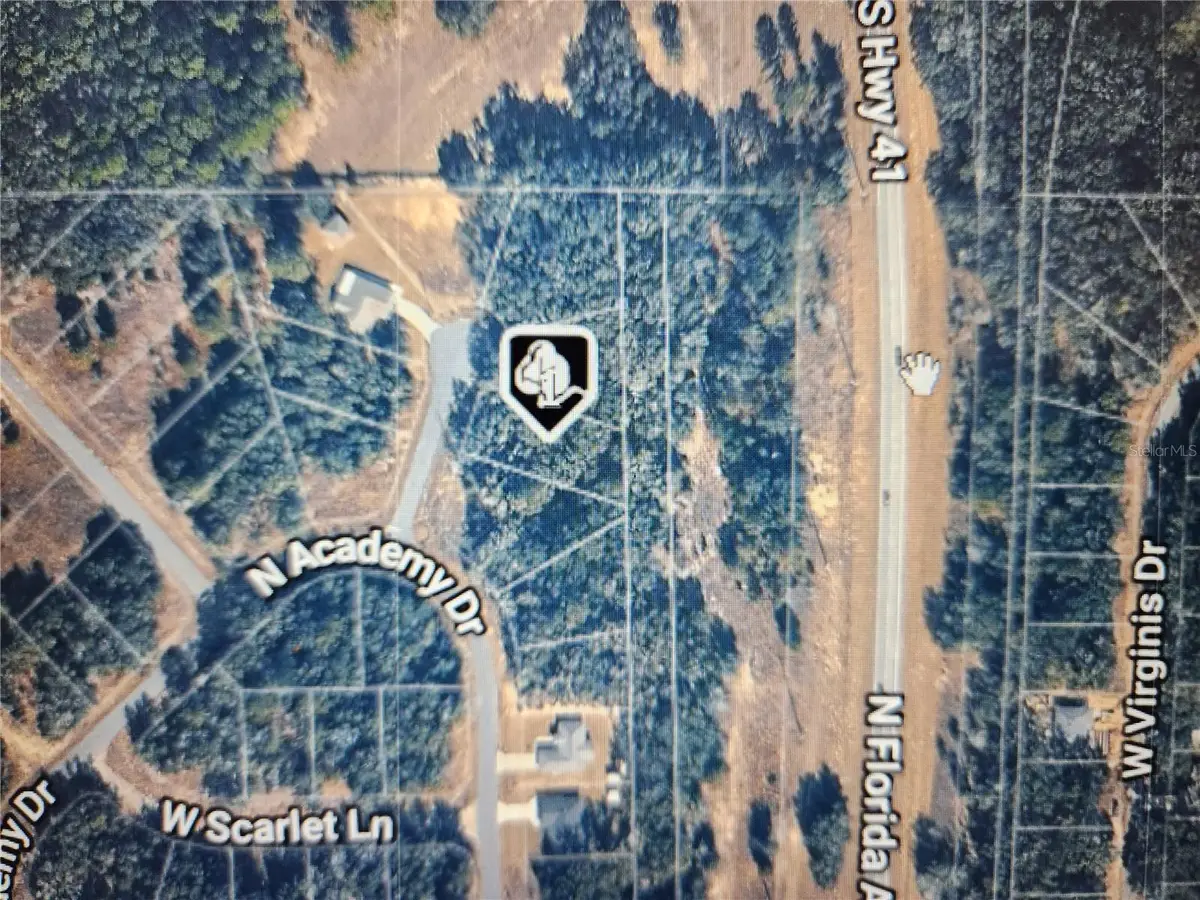 11197 N Denice Point, Dunnellon, FL 34434 - #1