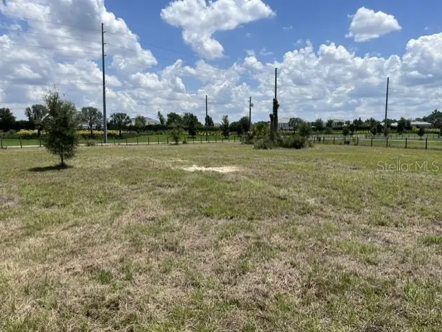 15110 Patterson Road, Odessa, FL 33556 - #1