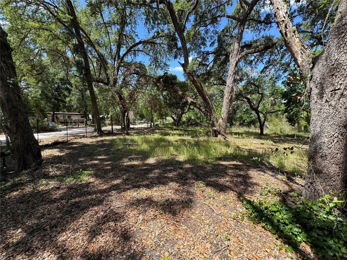 Tannahill Street, Dade City, FL 33523 - #1