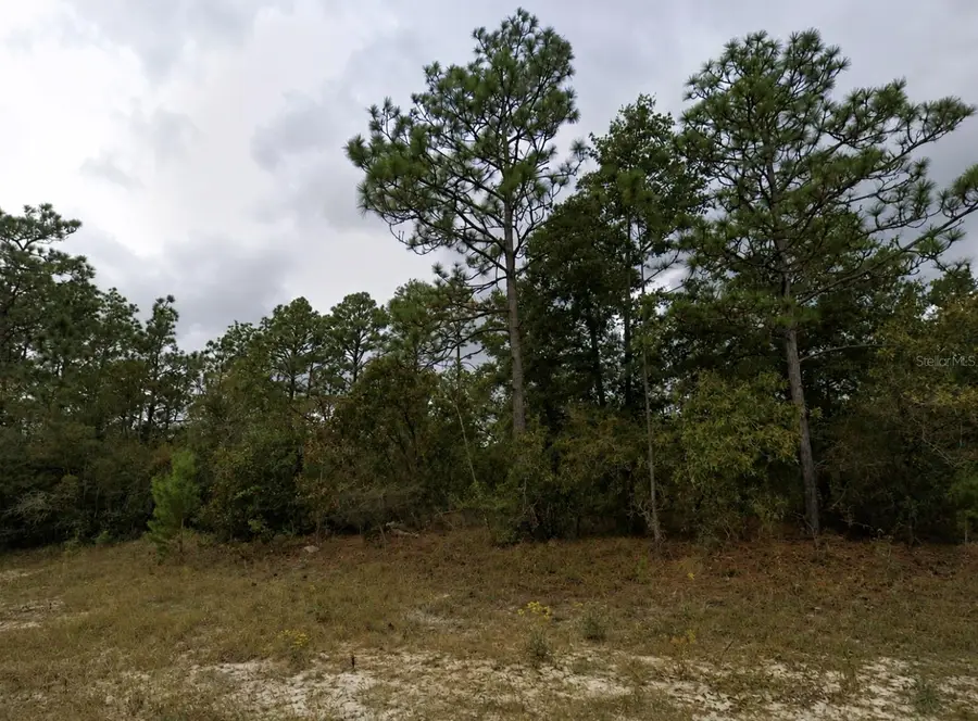 Bentley Court, Chipley, FL 32428 - #3