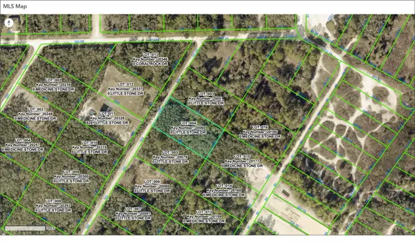 000 Little Stone Drive, WEBSTER, FL 33597