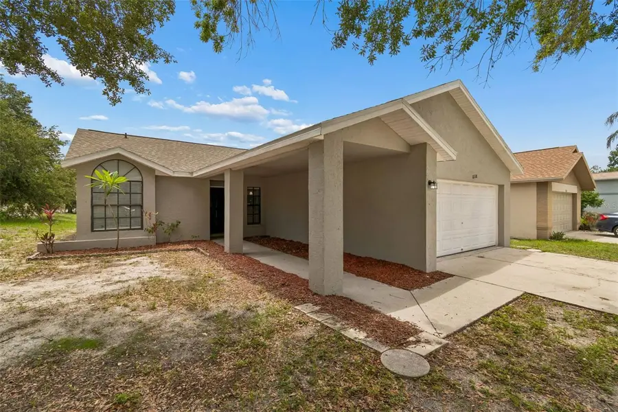 11318 Blackbark Drive, Riverview, FL 33579 - #3