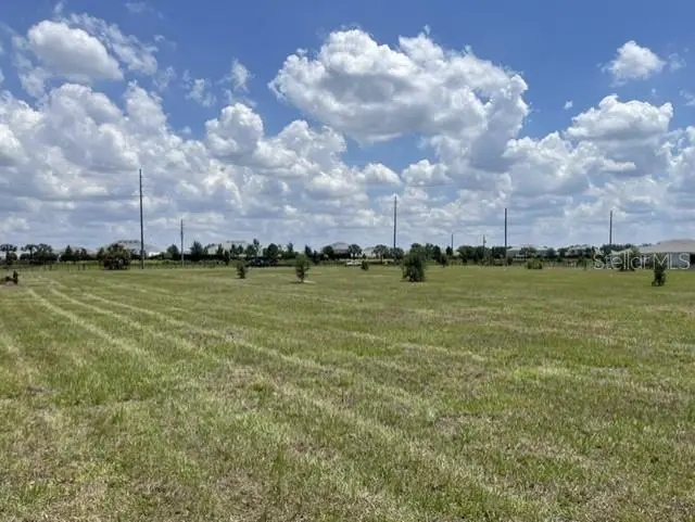 15202 Patterson Road, Odessa, FL 33556 - #1