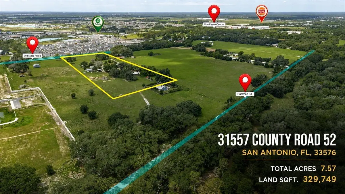 31557 Cr-52, San Antonio, FL 33576 - #1