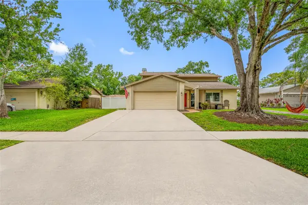 15816 Hound Horn Lane, TAMPA, FL 33624