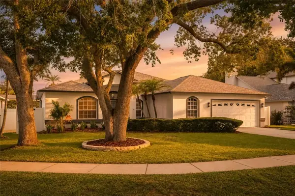 9238 Sea Oaks Court, SEMINOLE, FL 33776