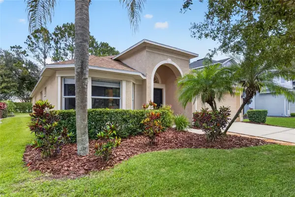 19305 Sea Mist Lane, LUTZ, FL 33558