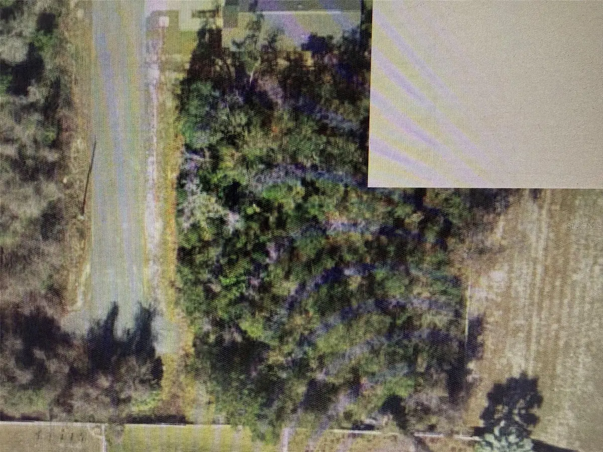 Abair, Hudson, FL 34667 - #1