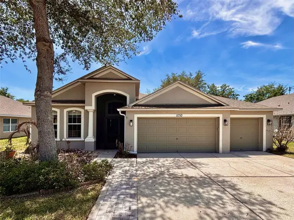 11710 Sunder Berry Street, HUDSON, FL 34667