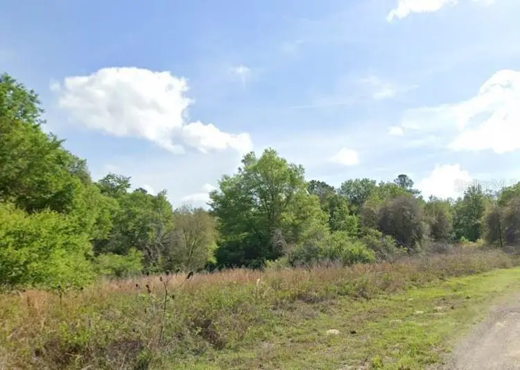 7995 N Walton Terrace, Dunnellon, FL 34434 - #1