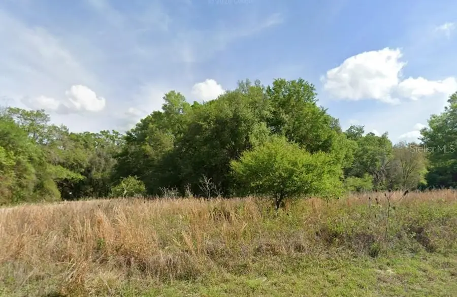 7995 N Walton Terrace, Dunnellon, FL 34434 - #3