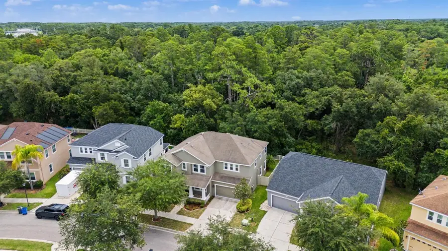 6944 Rocky Canyon Way, Tampa, FL 33625 - #2