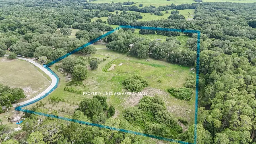 5117 Cr 316a, Bushnell, FL 33513 - #3