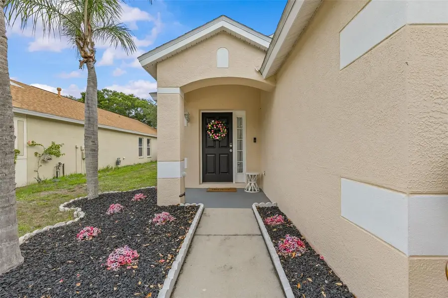 10611 Lakeside Vista Drive, Riverview, FL 33569 - #2