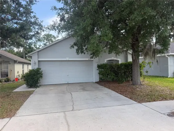 6529 Tabogi Trail, WESLEY CHAPEL, FL 33545