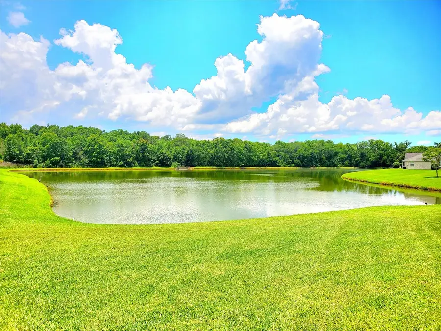 25644 Frith Street, Land O Lakes, FL 34639 - #2