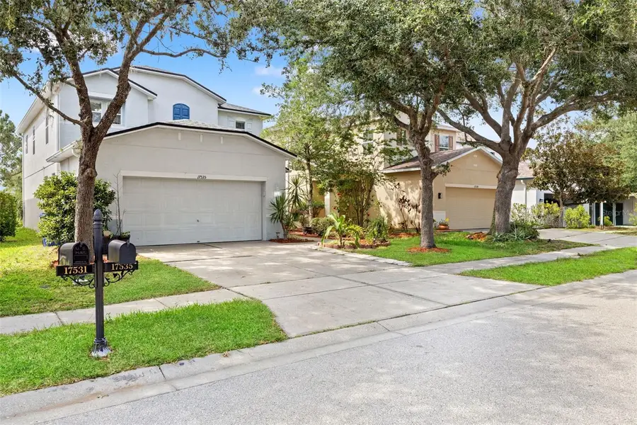 17535 Balmaha Drive, Land O Lakes, FL 34638 - #3
