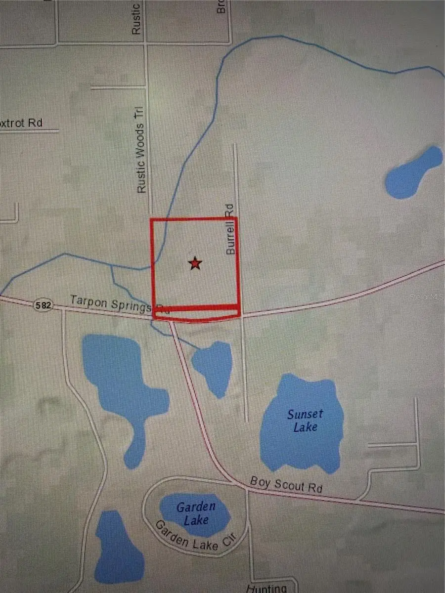11819 Tarpon Springs Road, Odessa, FL 33556 - #3