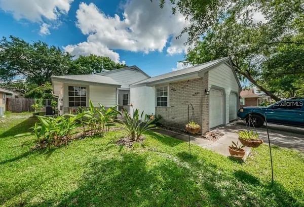 3165 Phlox Drive, PALM HARBOR, FL 34684