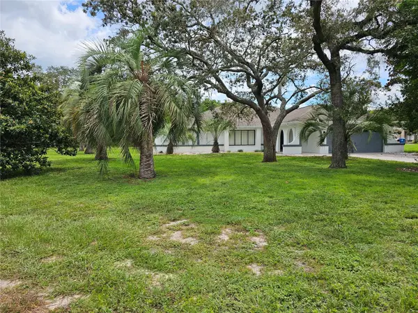 10186 Sleepy Willow Court, SPRING HILL, FL 34608