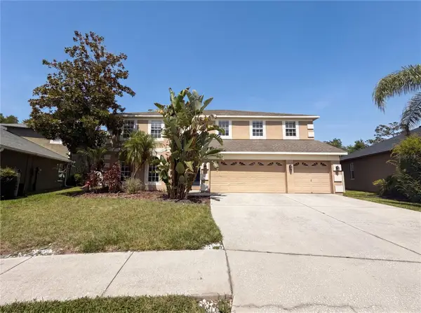 3518 Braemar Street, LAND O LAKES, FL 34638