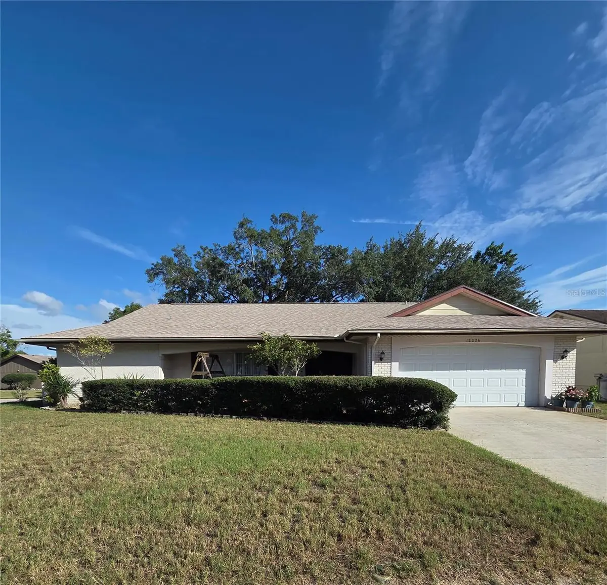 12226 Meadowbrook Lane, Hudson, FL 34667 - #1